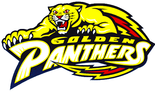 FIU Panthers 1994-2000 Primary Logo t shirts DIY iron ons